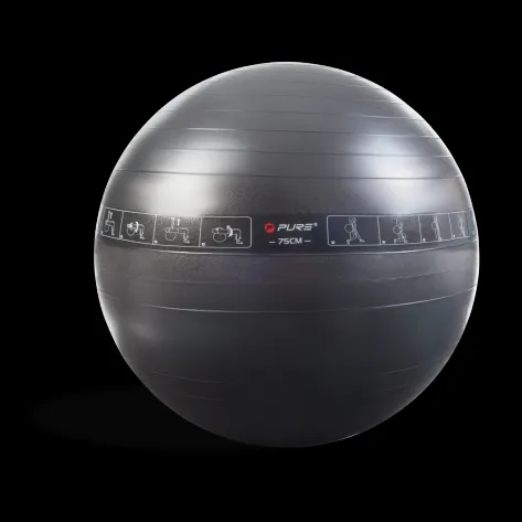 Pure 2Improve Gym Ball 75cm P2I200080 265866 black