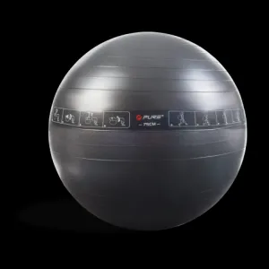 Pure 2Improve Gym Ball 75cm P2I200080 265866 black